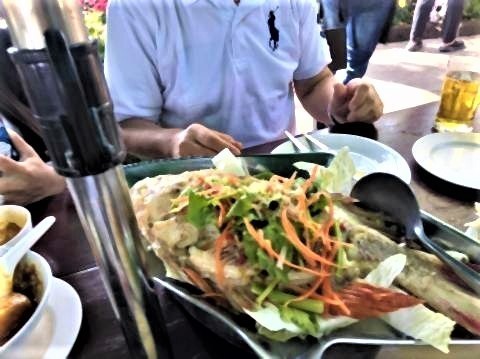 pict-P_20200101_135310_vHDR_On Galae レストラン (2).jpg