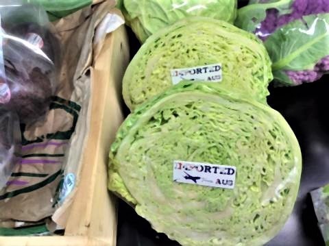 pict-P_20200909_214142_vHDR_Onリンピン工学野菜 (5).jpg