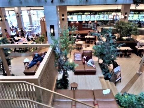 pict-P_20201028_112804_vHDR_On.jpg