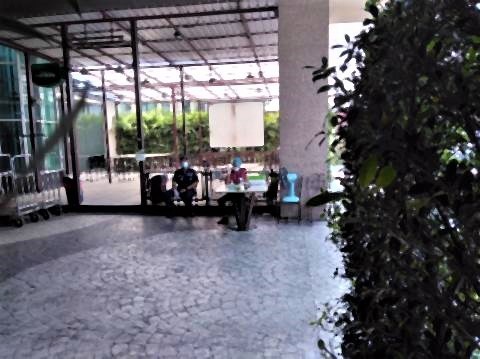 pict-P_20210117_120643_vHDR_On.jpg