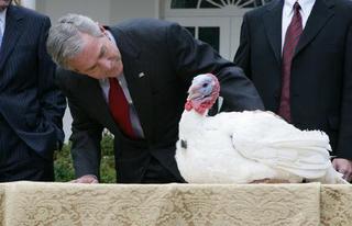 pict-President_Bush_in_National_Thanksgiving_Turkey_Ceremony_2007.jpg