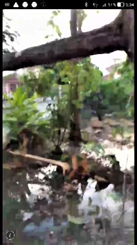 pict-Screenshot_20200509-053446小西さん (1).jpg