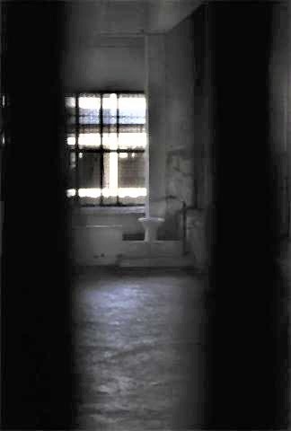 pict-The toilets, hardly hidden, are often shared by up to 50 people in a cell depending on the prison.jpg