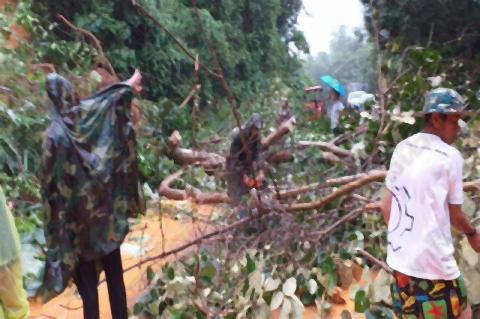 pict-Tropical storm Podul4.jpg