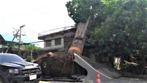 pict-Watch out for the strong winds.jpg