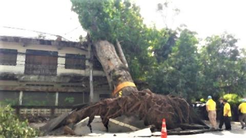 pict-Watch out for the strong winds2.jpg