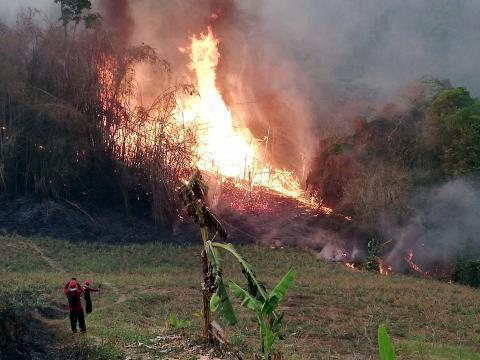 pict-burned to ash in Chiang Rai2.jpg