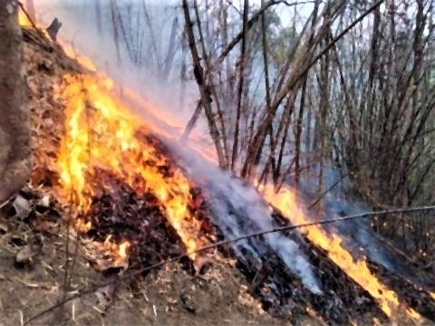 pict-fire broke out in the Samoeng3.jpg