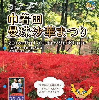 pict-pict-巾着田曼珠沙華.jpg