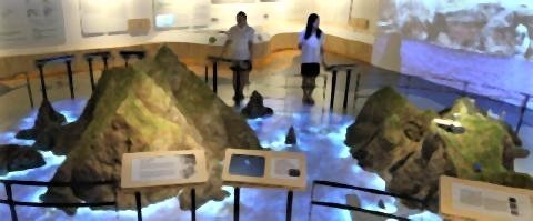 pict-pict-独島体験館2120分の1に縮小独島の模型.jpg