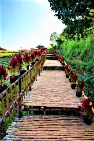 pict-skywalk-beautiful-park.jpg